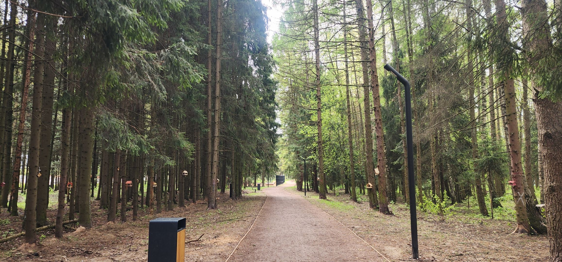 Звенигород, Благоустройство, Лесопарк Супонево , Туризм ,