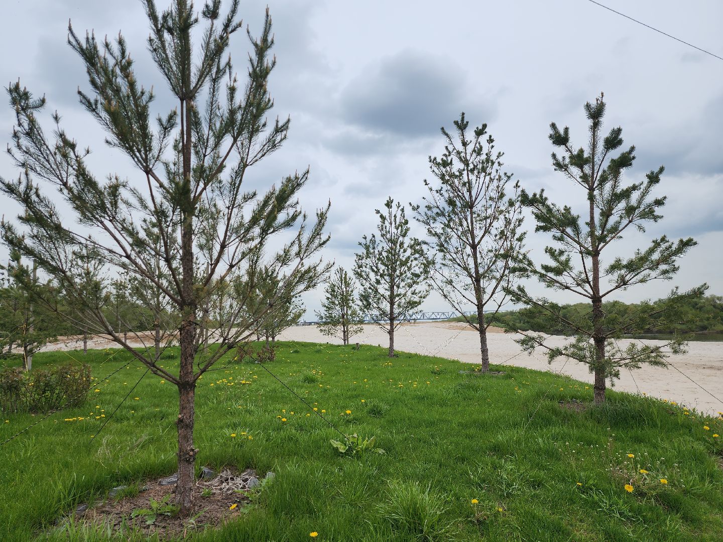 серпухов, подмосковье, река ока, смотровая,