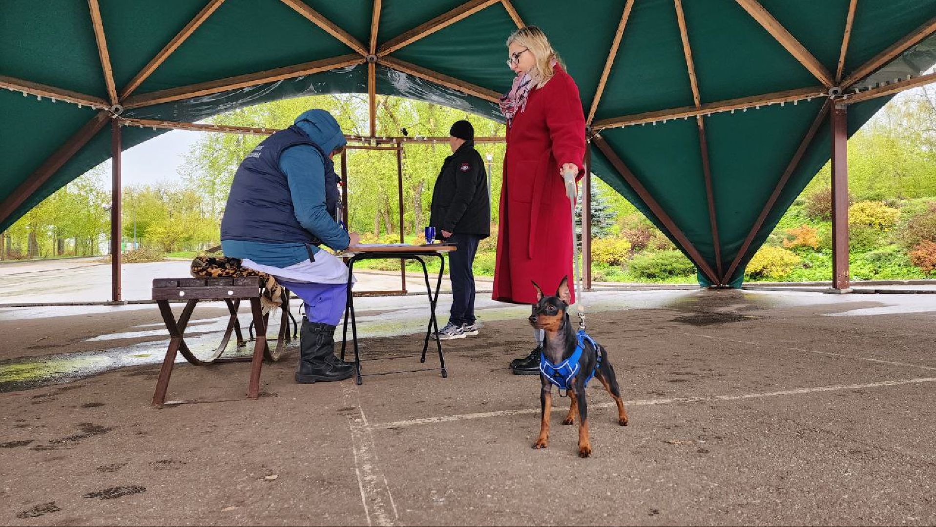 Дмитров, Госветстанция, Яхрома, Чипирование животных, Вакцинация животных,