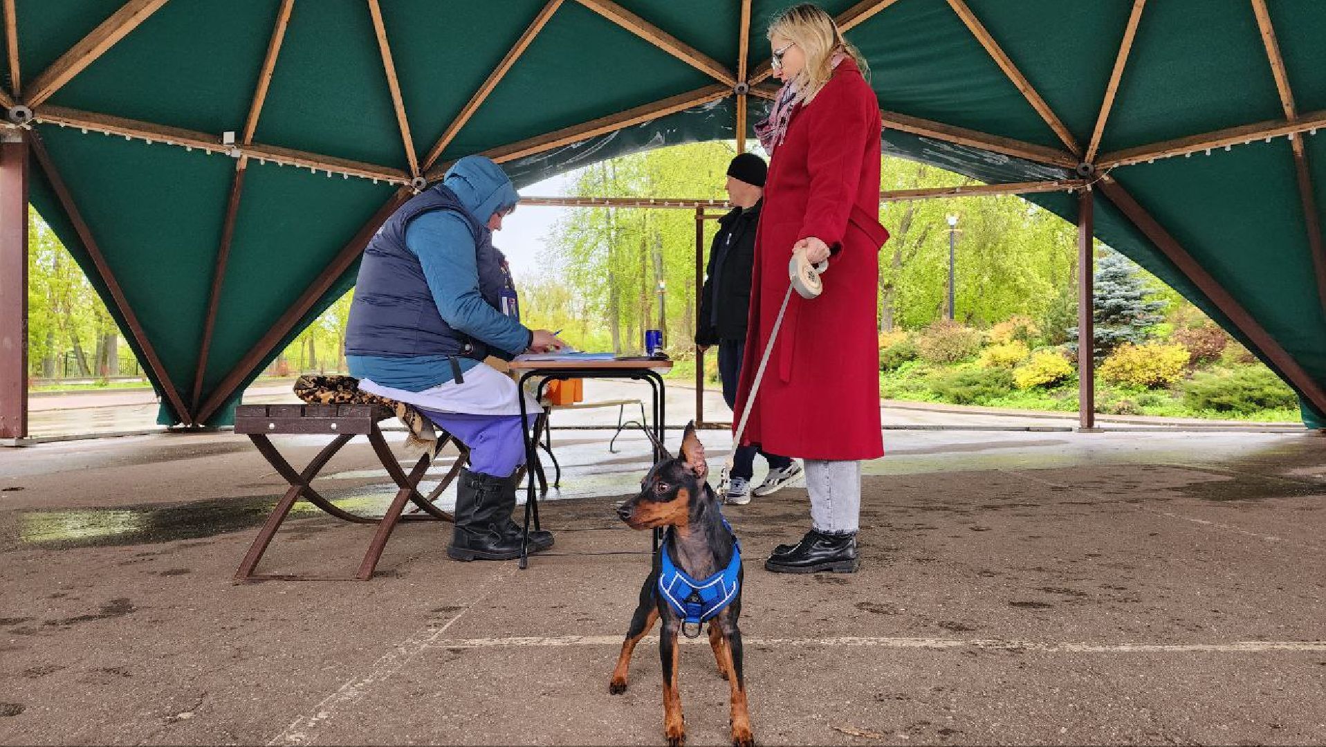 Дмитров, Госветстанция, Яхрома, Чипирование животных, Вакцинация животных,