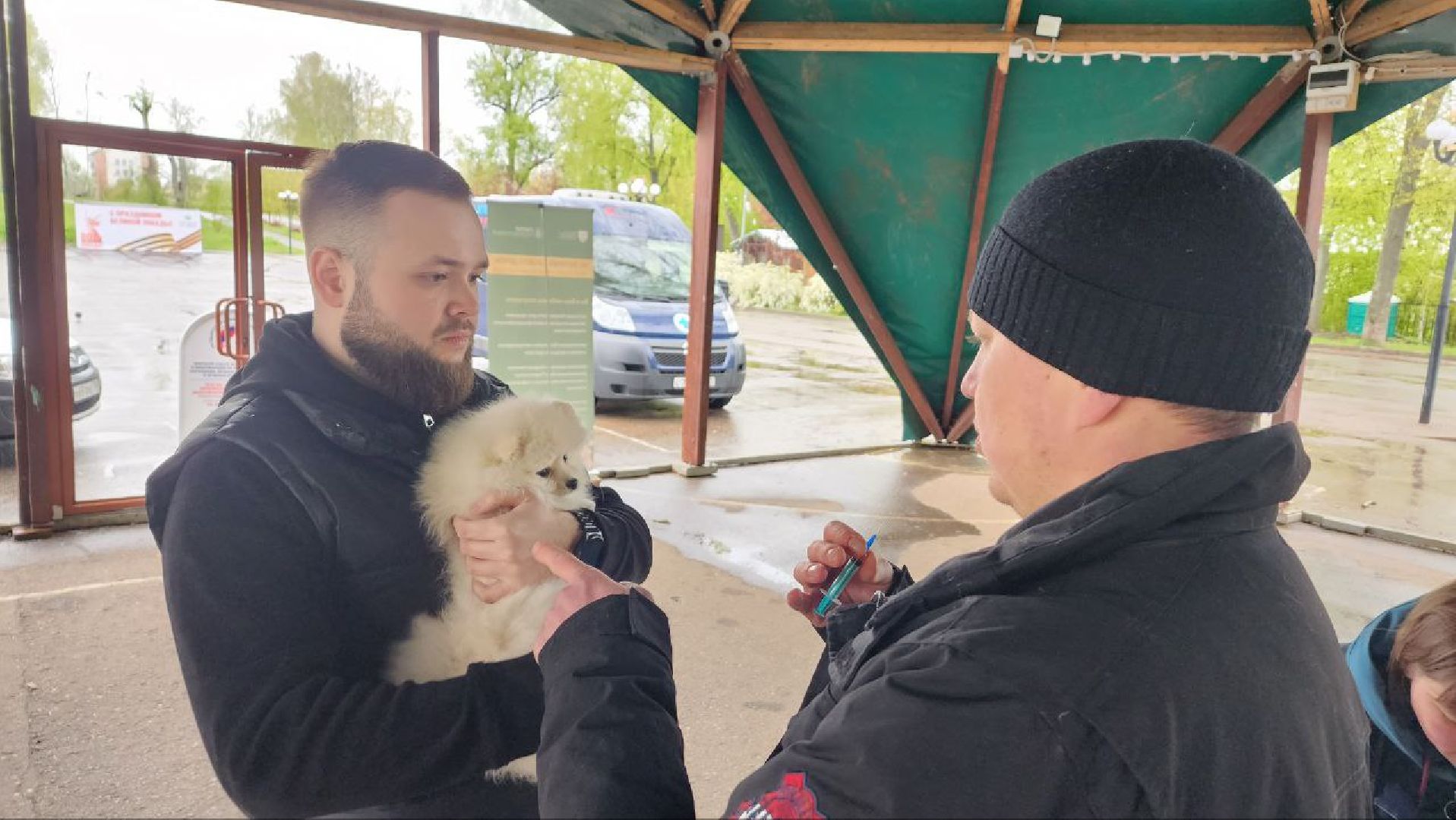Дмитров, Госветстанция, Яхрома, Чипирование животных, Вакцинация животных,