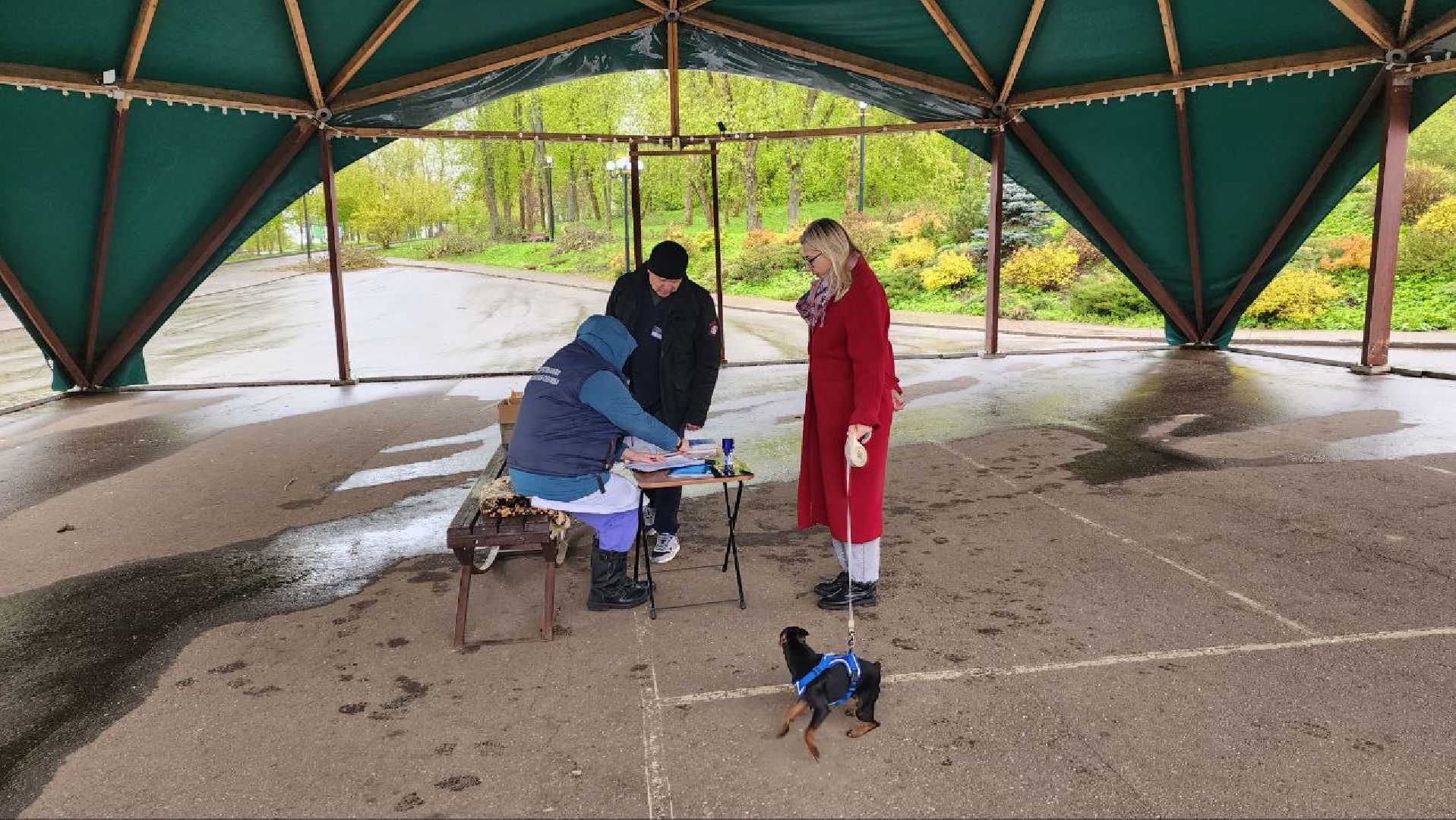 Дмитров, Госветстанция, Яхрома, Чипирование животных, Вакцинация животных,