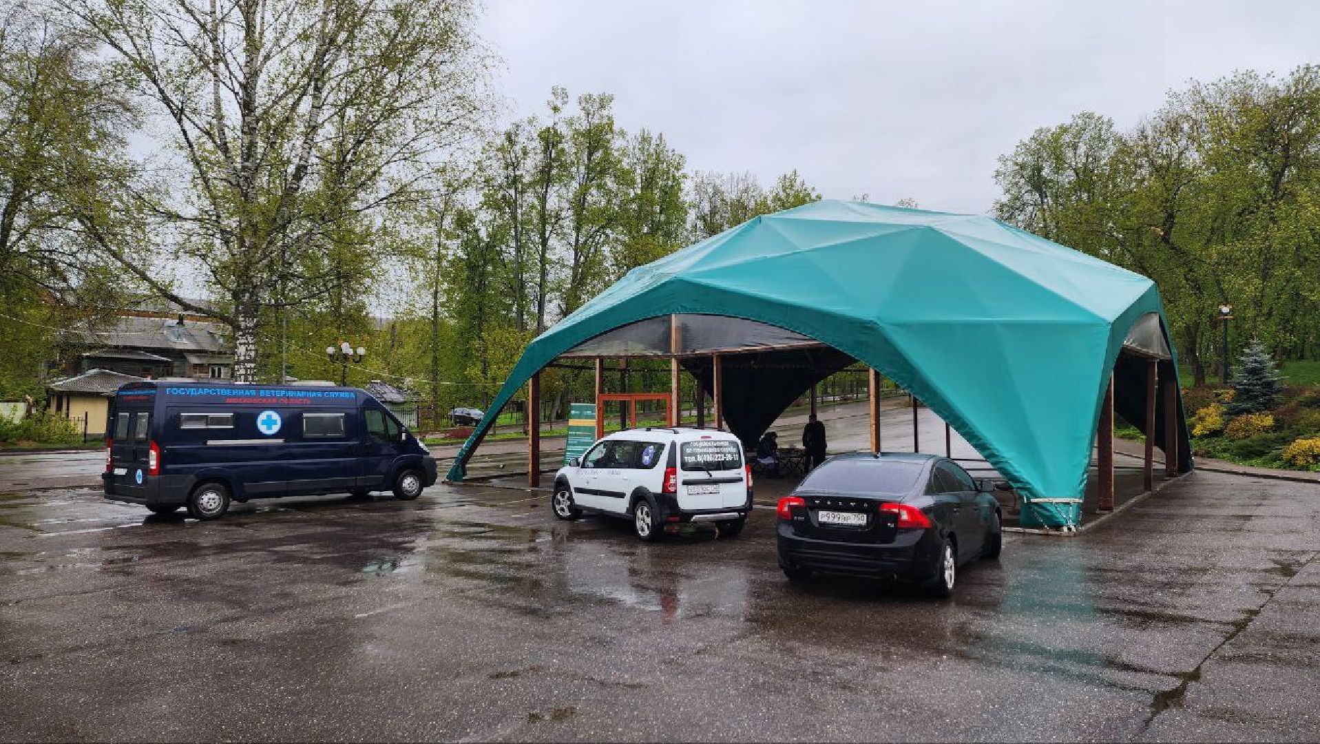 Дмитров, Госветстанция, Яхрома, Чипирование животных, Вакцинация животных,