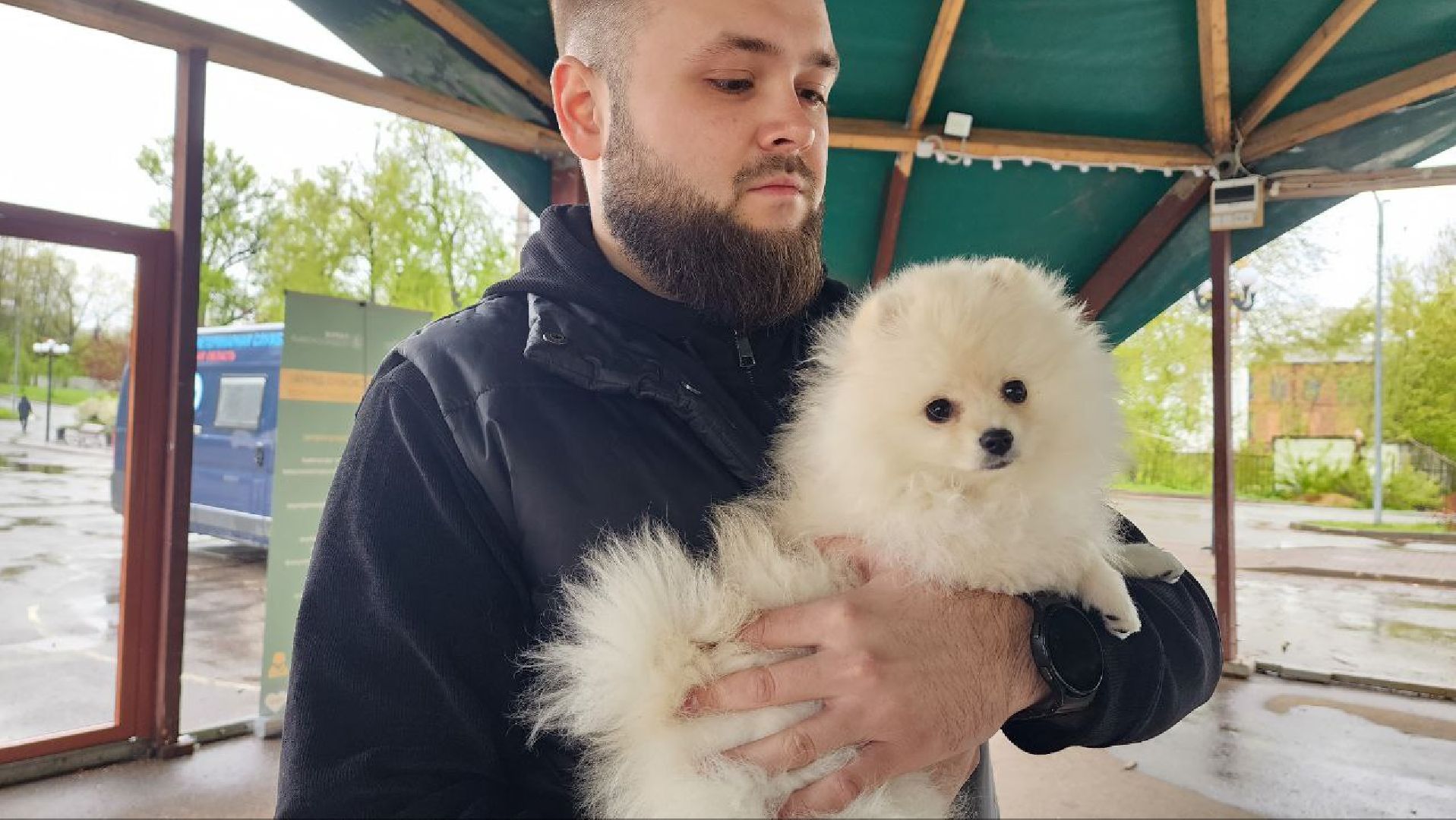 Дмитров, Госветстанция, Яхрома, Чипирование животных, Вакцинация животных,