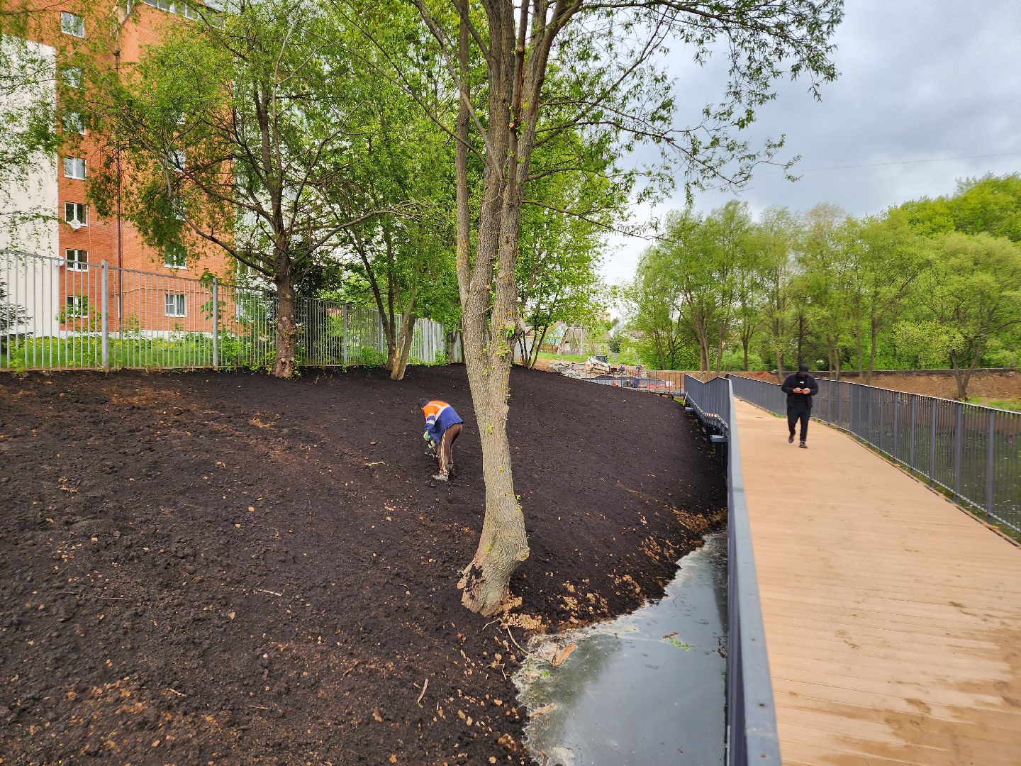 Чехов, улица Береговая, набережная реки теребенка, благоустройство, реконструкция, земляные работы, плодородный грунт, озеленение, госпрограмма московской области,