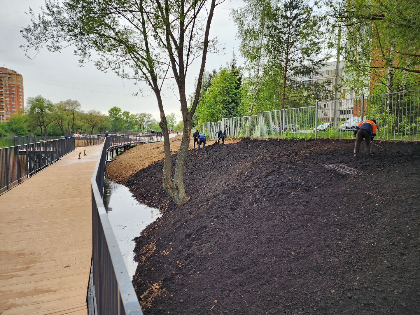 Чехов, улица Береговая, набережная реки теребенка, благоустройство, реконструкция, земляные работы, плодородный грунт, озеленение, госпрограмма московской области,