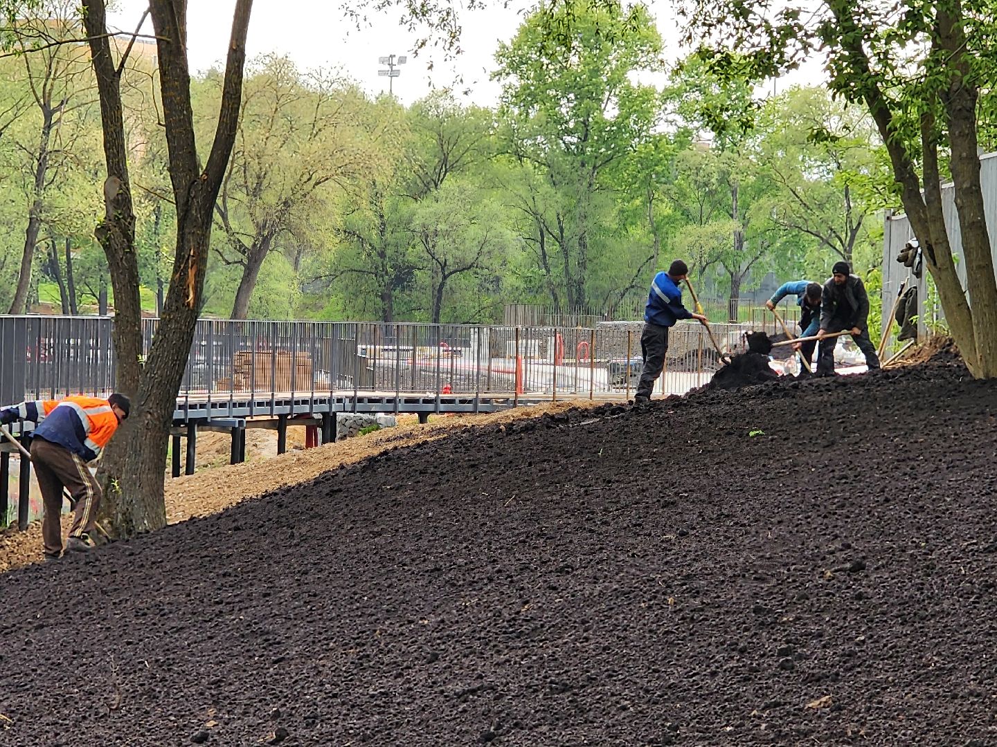 Чехов, улица Береговая, набережная реки теребенка, благоустройство, реконструкция, земляные работы, плодородный грунт, озеленение, госпрограмма московской области,