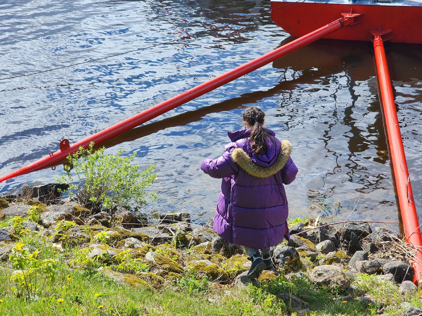 дубна, ниипа, детский хор,