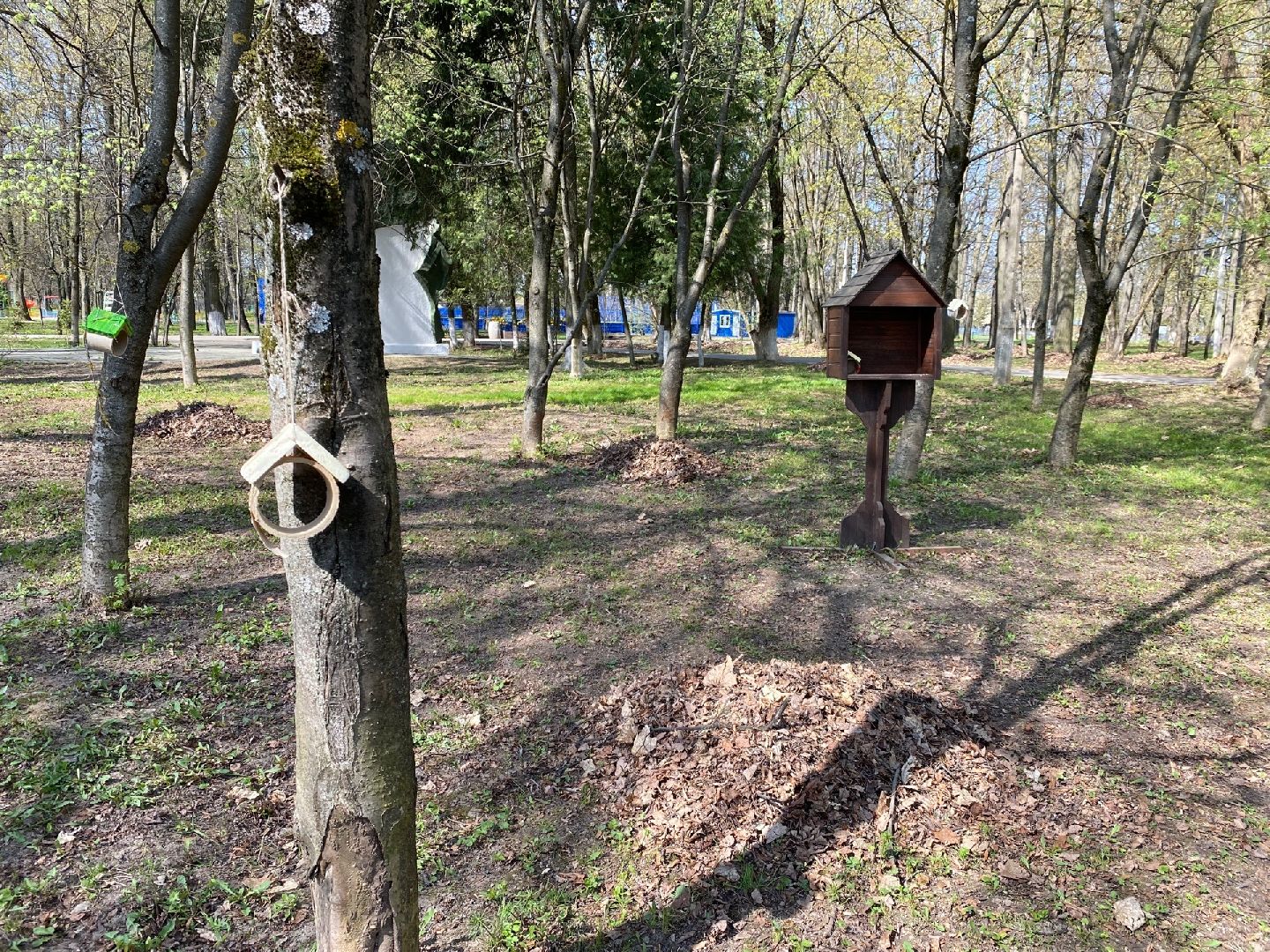 Домодедово, парк, благоустройство, скворечники, птицы
