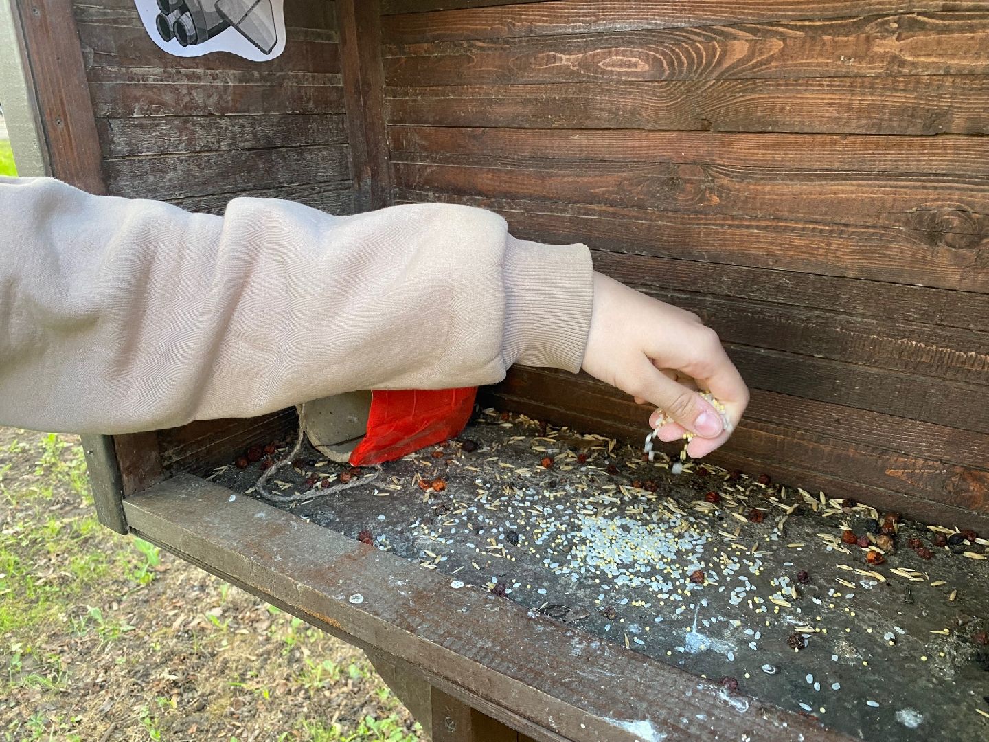 Домодедово, парк, благоустройство, скворечники, птицы