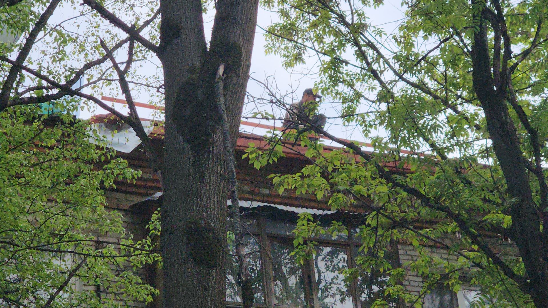 пушкино, капитальный  ремонт, ремонт крыши, подрядная организация, кровля мкд ремонт, жилой дом,