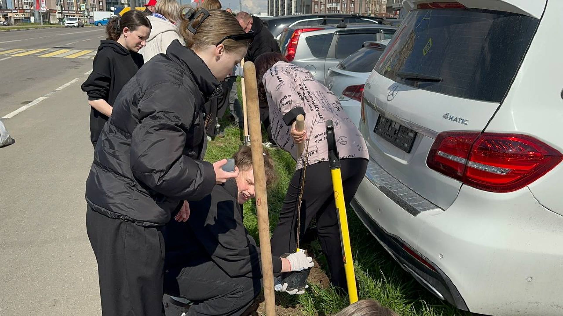 домодедово, сад памяти, акция, микрорайон южный,