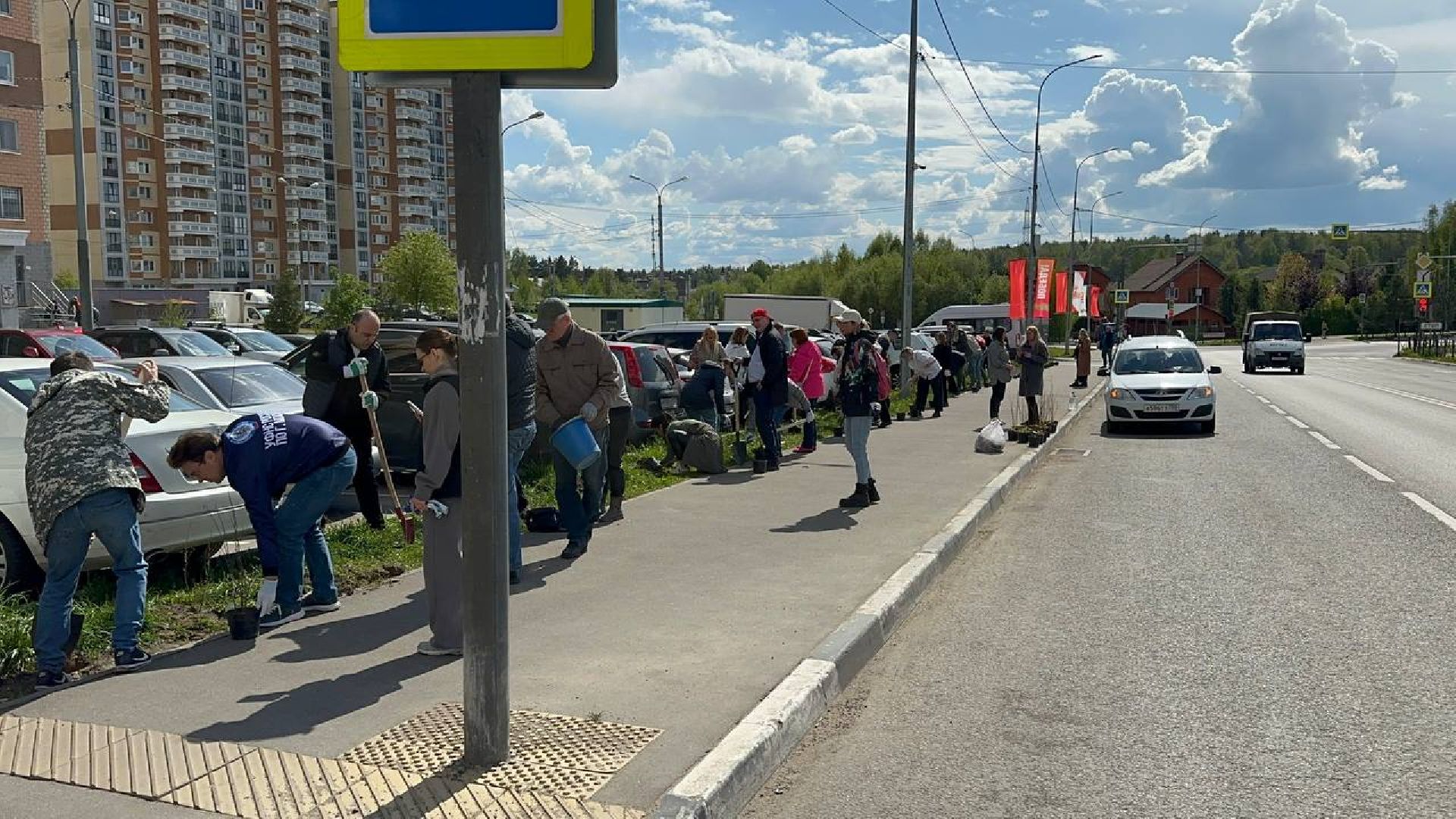 домодедово, сад памяти, акция, микрорайон южный,