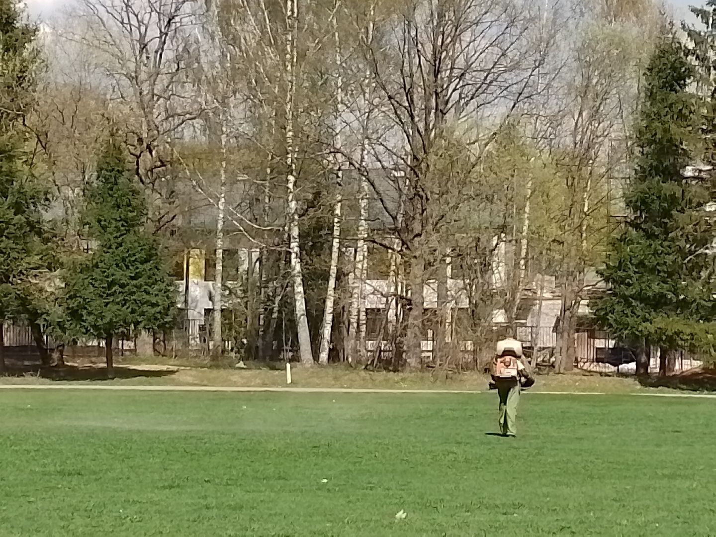 благоустройство, городской округ восход, клещи, обработка от клещей,