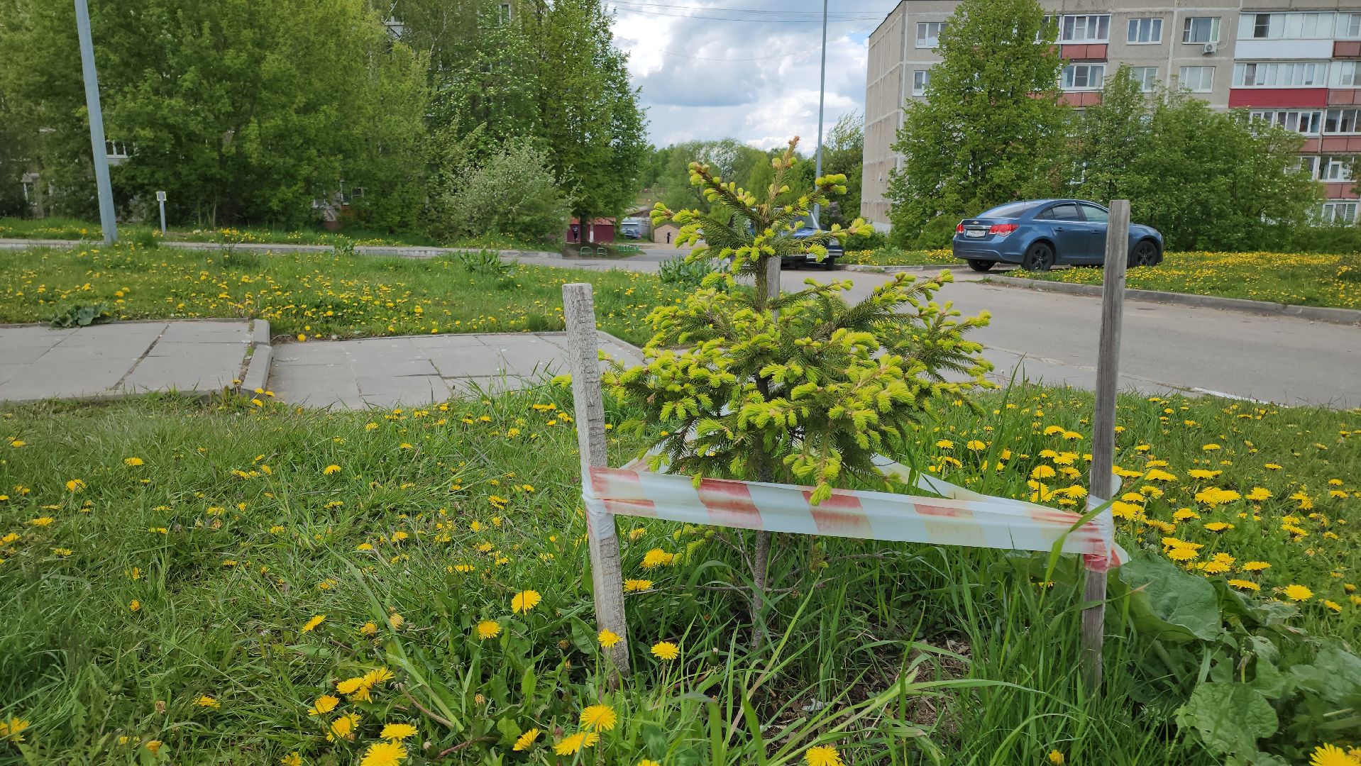 кашира, благоустройство, голосование, комфортная городская среда, пешеходная зона, школа,