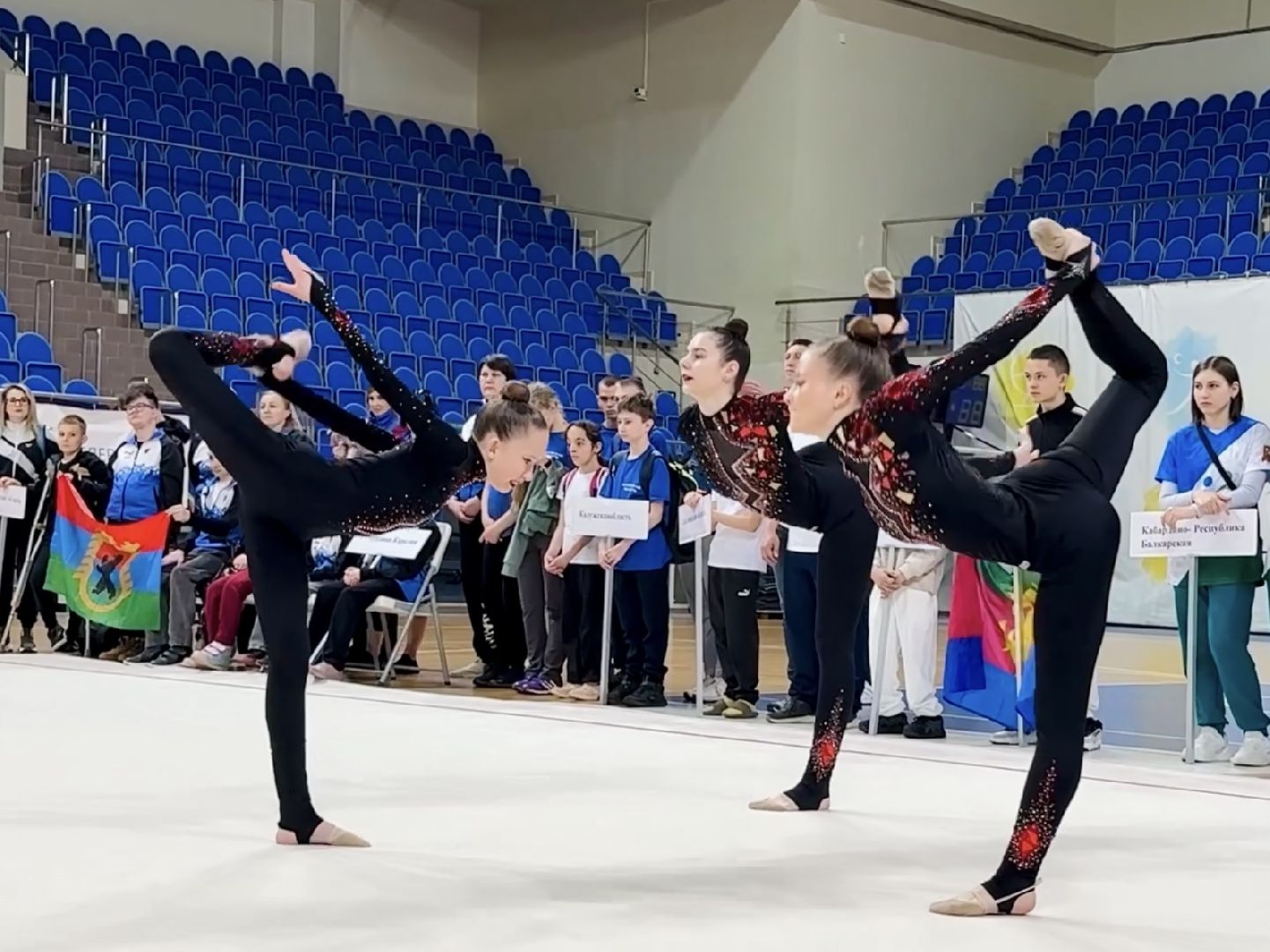 раменское , паралимпийский спорт, парафест,