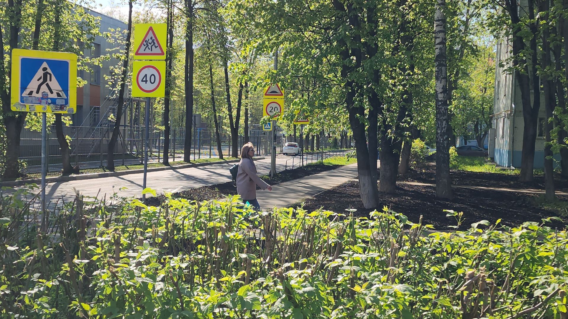 Газон, Благоустройство , Лобня,