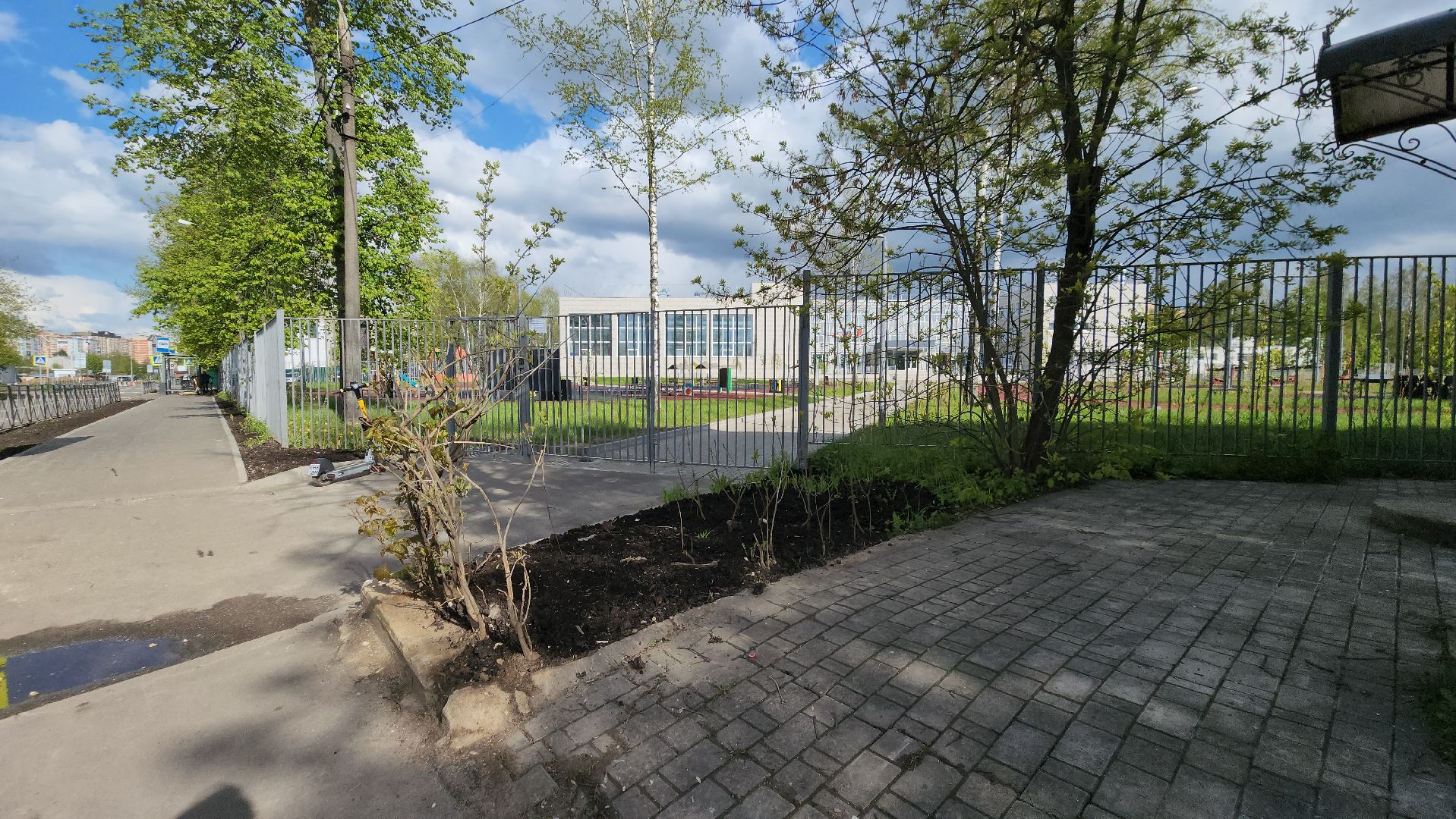 Газон, Благоустройство , Лобня,