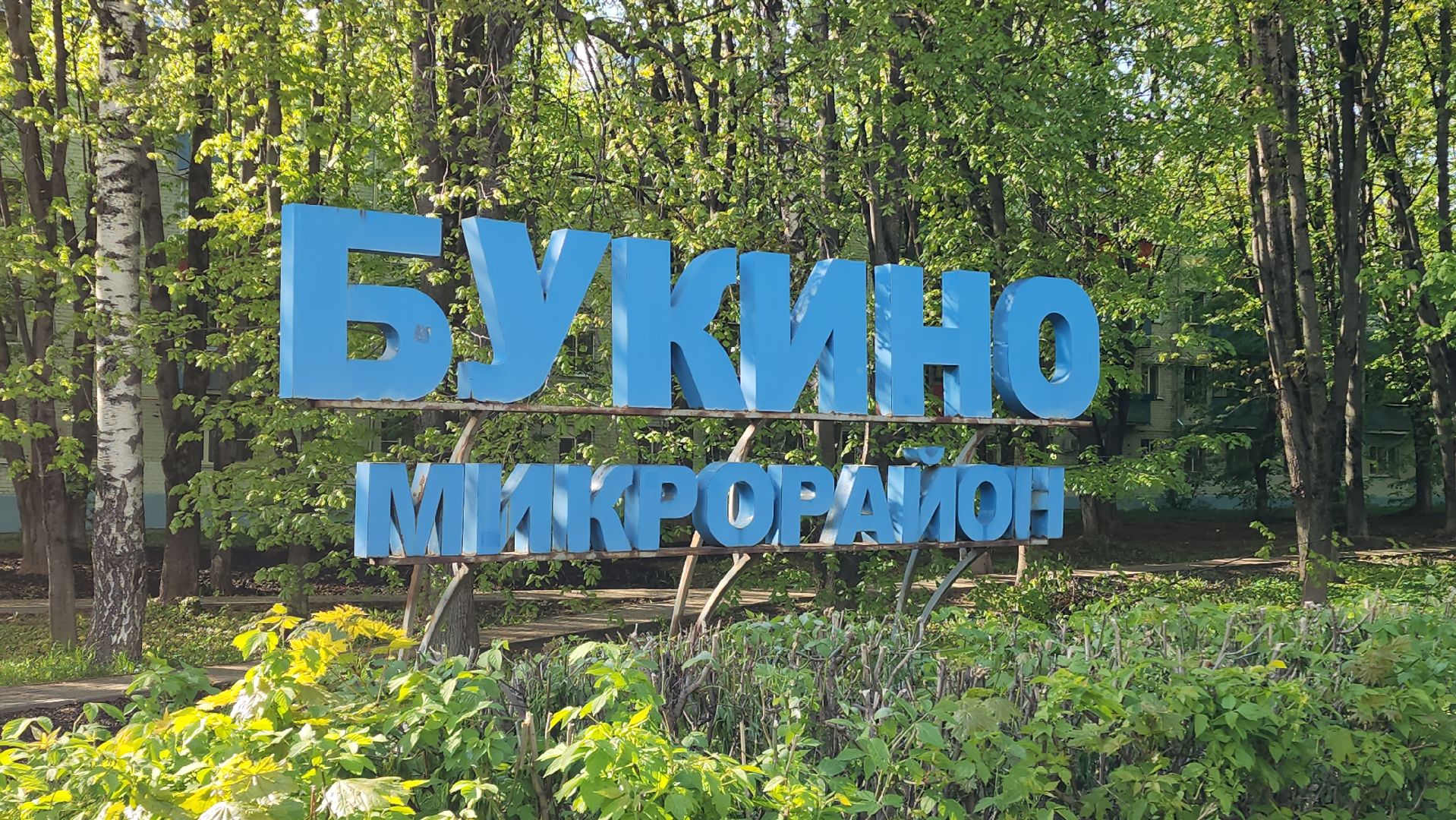 Газон, Благоустройство , Лобня,