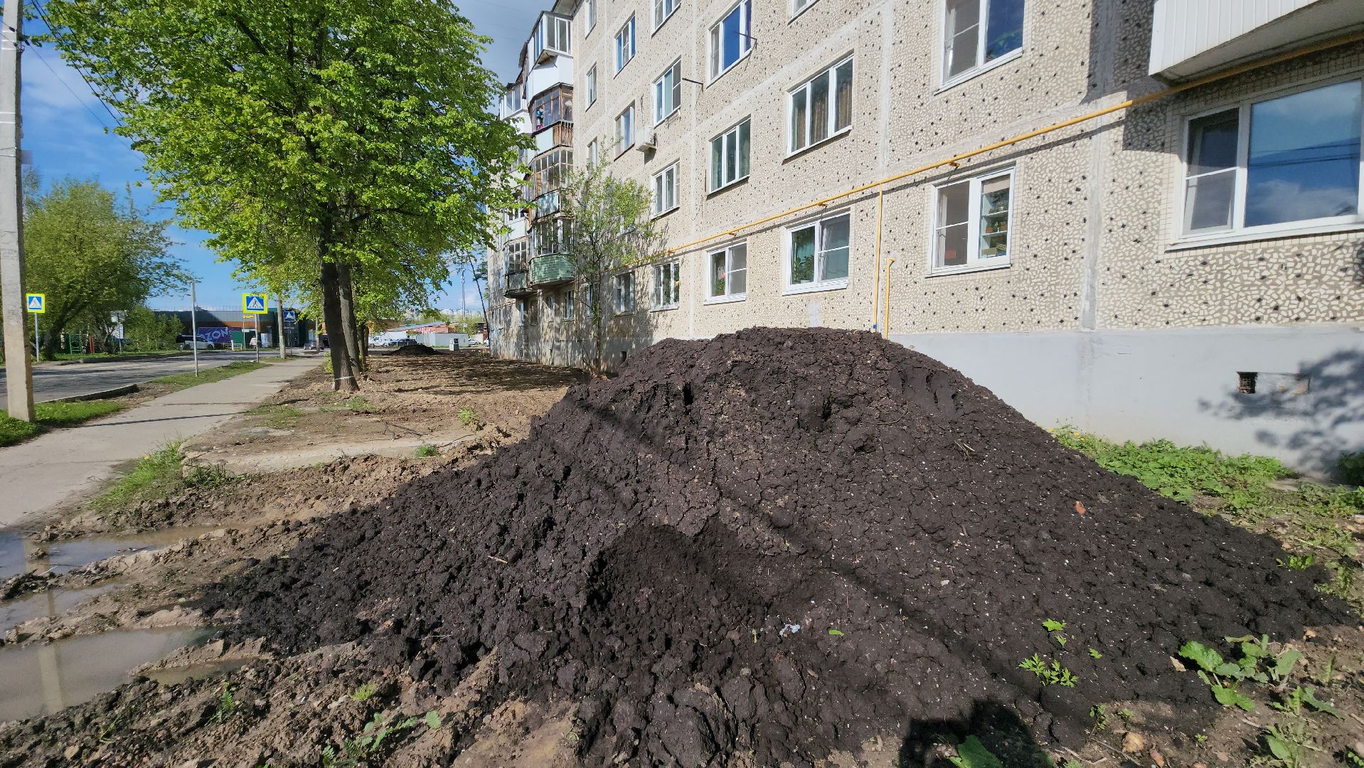 Газон, Благоустройство , Лобня,