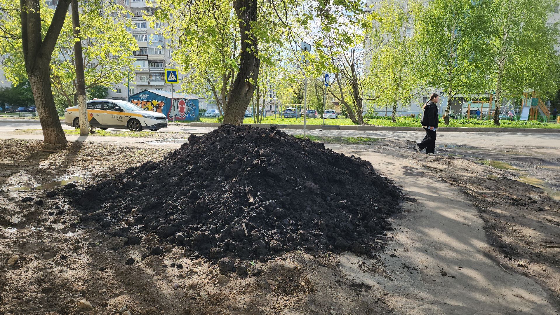 Газон, Благоустройство , Лобня,