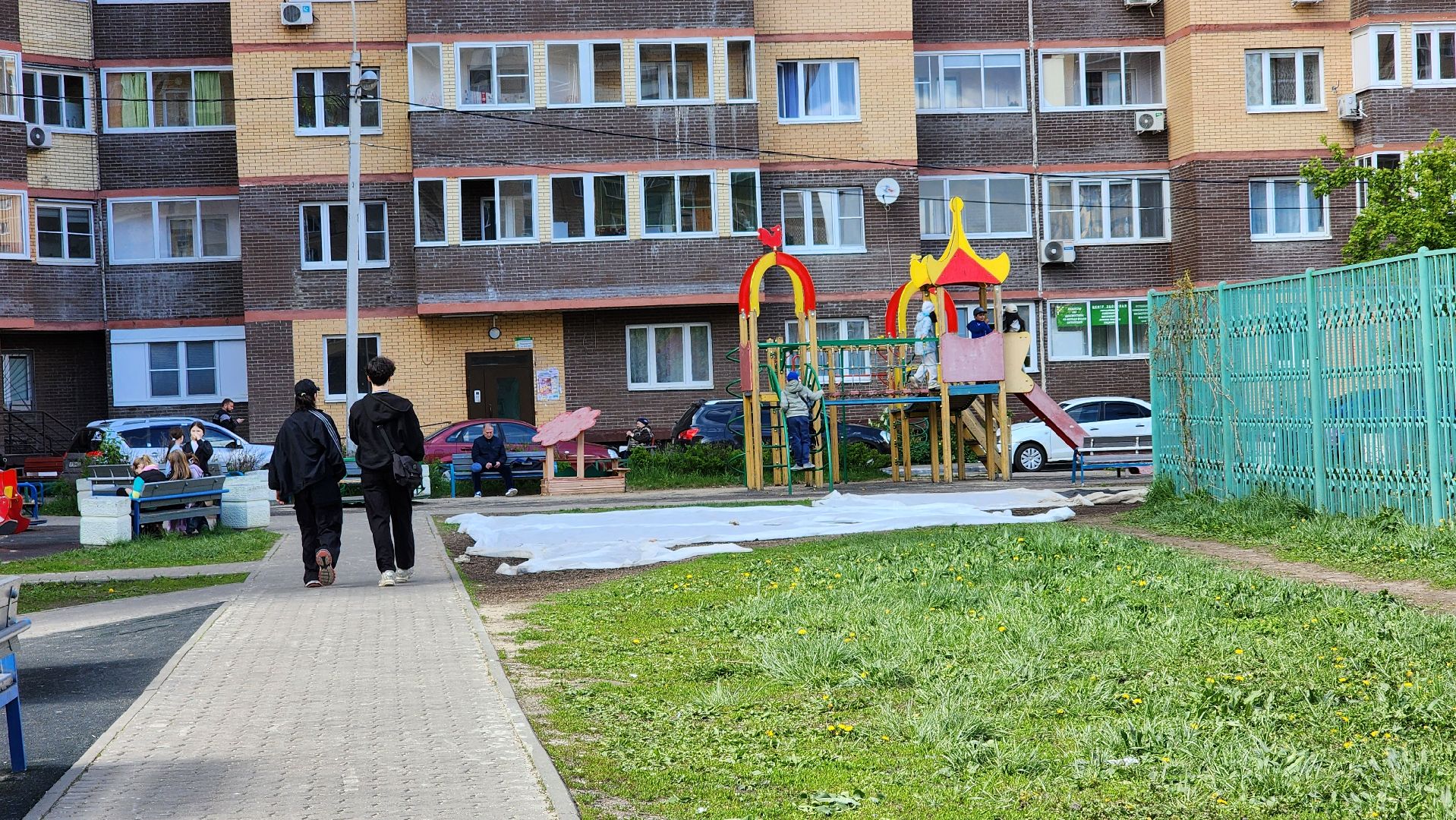 благоустройство, газон, лосино-петровский,