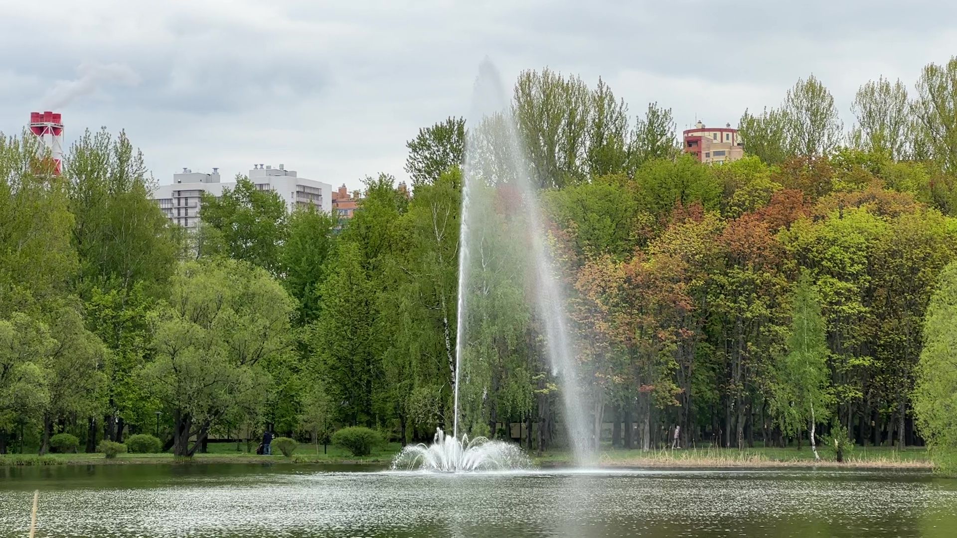 реутов, фонтаны, сезон фонтанов, парк, вода,