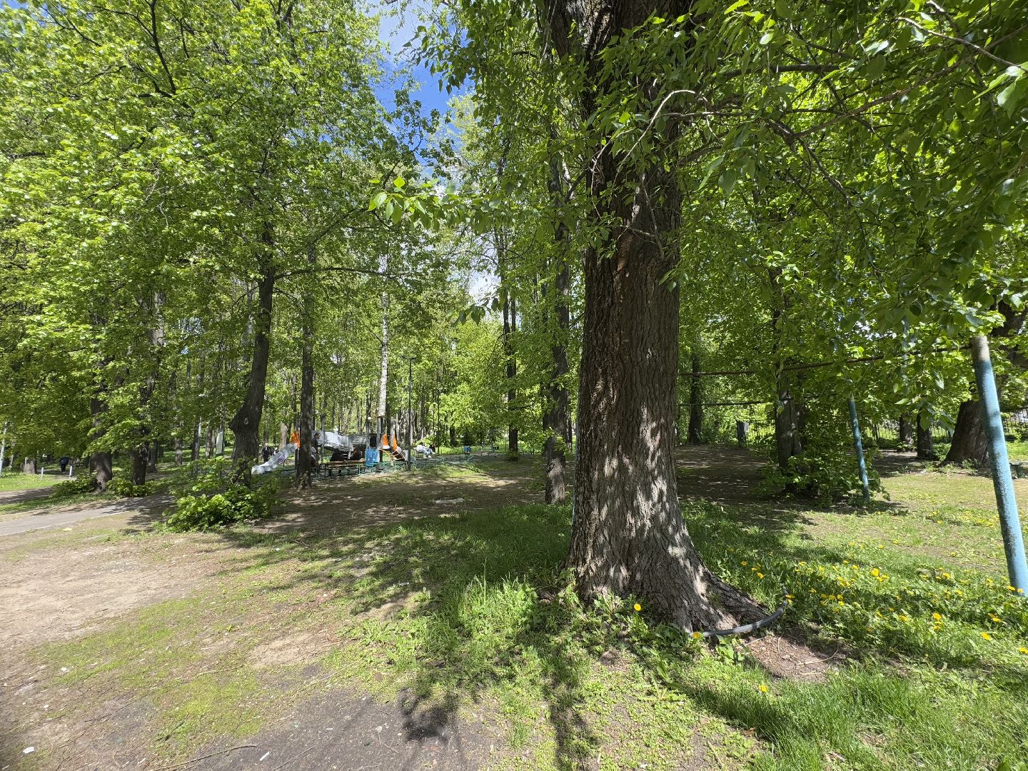 благоустройство, сквер по улице крупешина, балашиха,