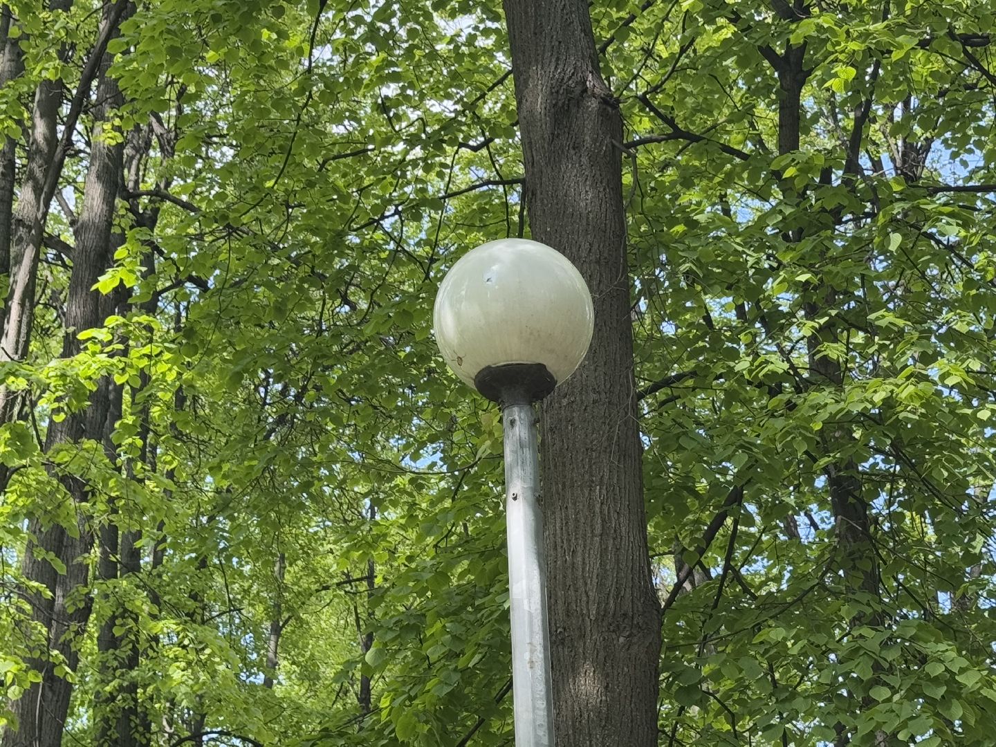 благоустройство, сквер по улице крупешина, балашиха,