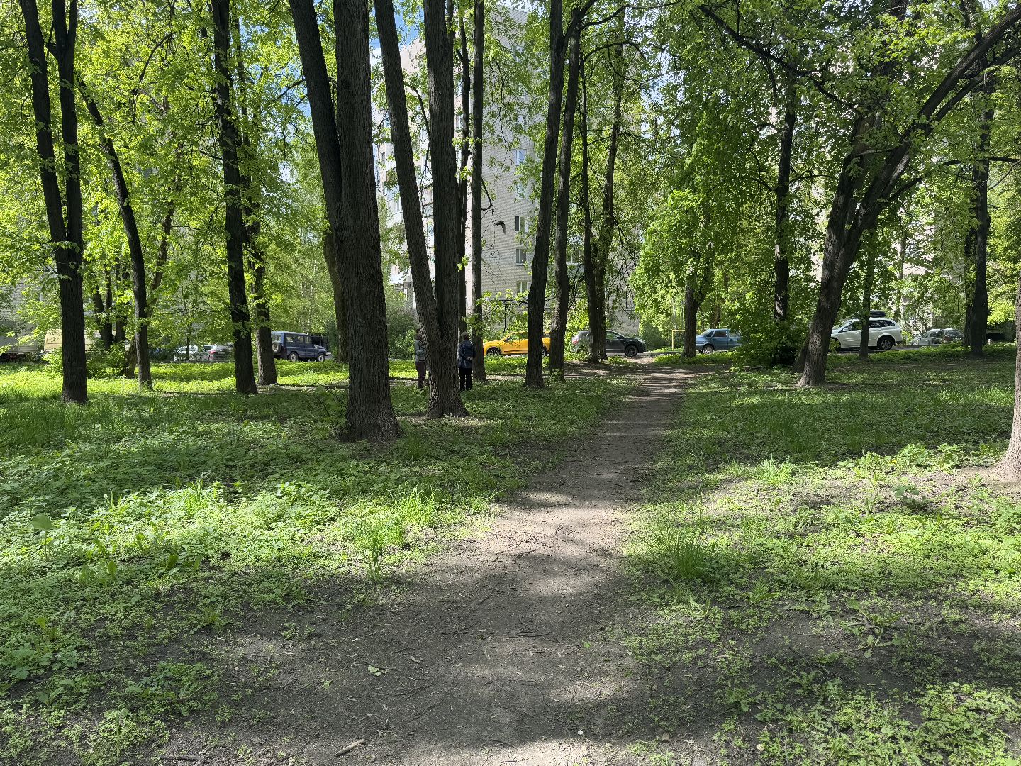 благоустройство, сквер по улице крупешина, балашиха,