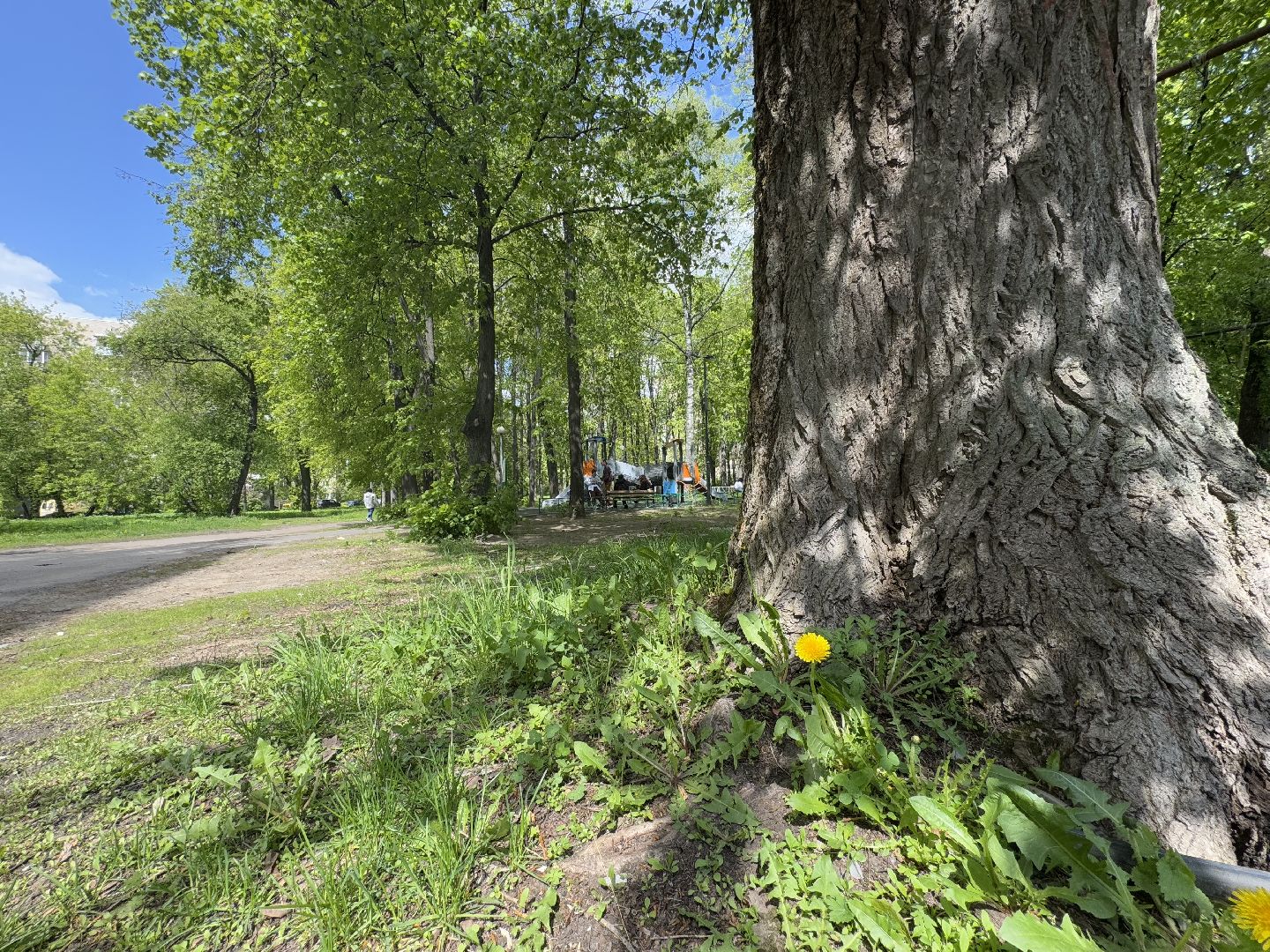 благоустройство, сквер по улице крупешина, балашиха,