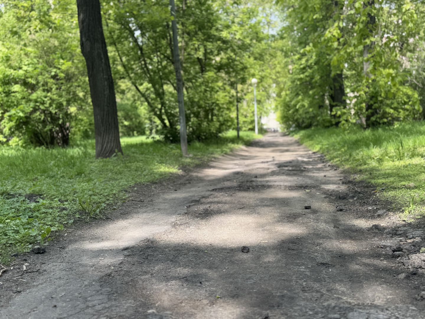 благоустройство, сквер по улице крупешина, балашиха,