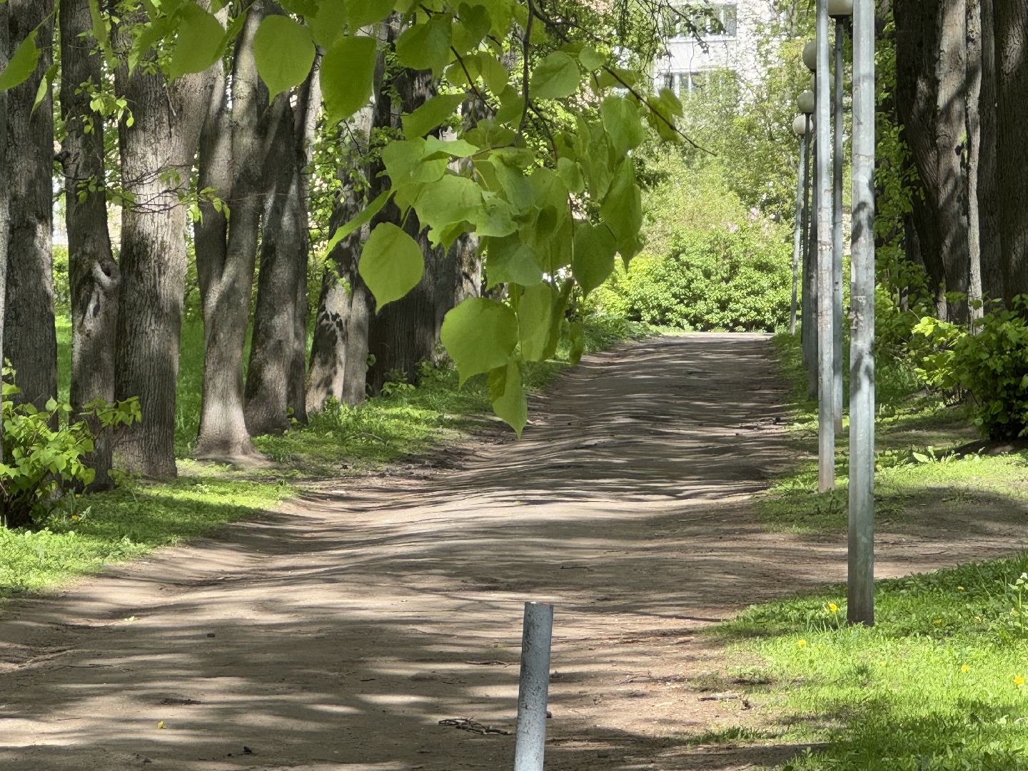 благоустройство, сквер по улице крупешина, балашиха,