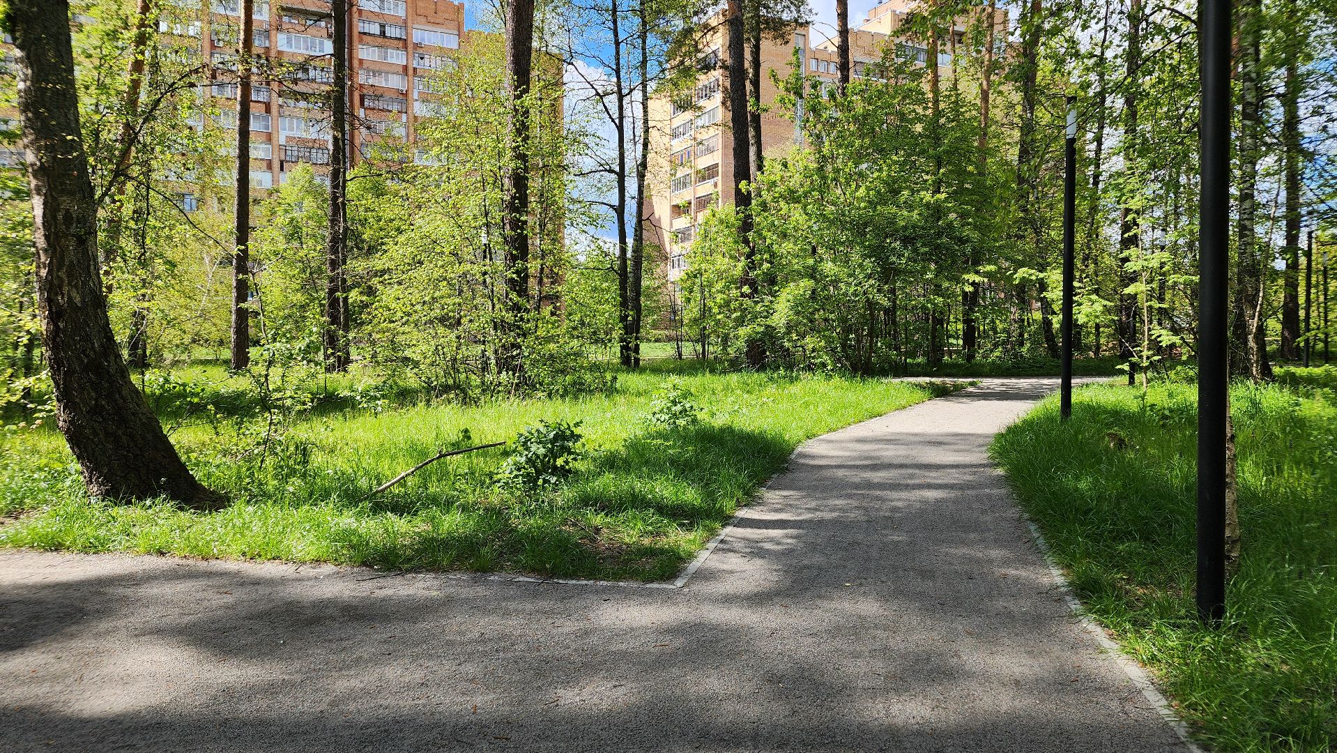 доступная среда, протвино, пандус,