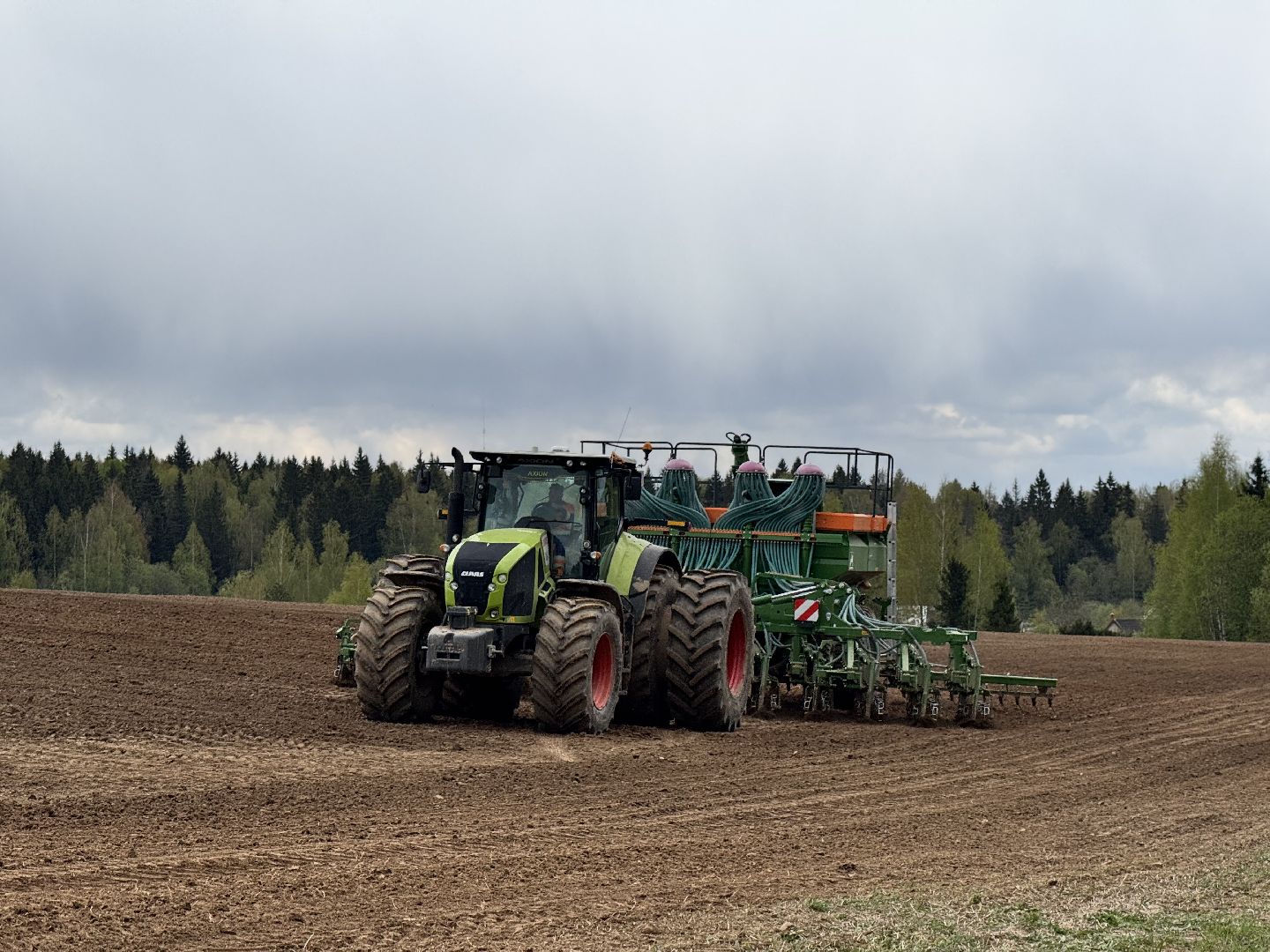 шаховская, северная ходьба, посевная,кукуруза,