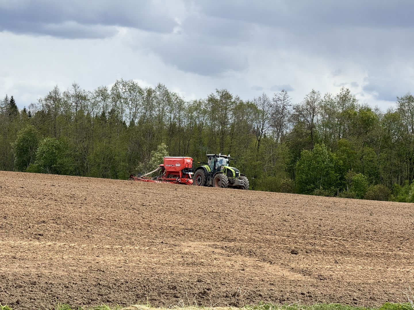 шаховская, северная ходьба, посевная,кукуруза,