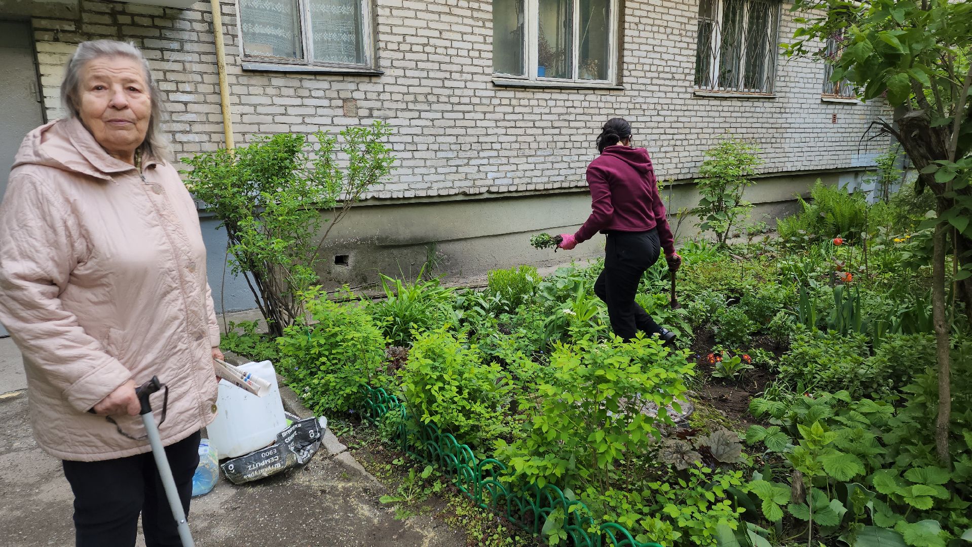 вертикалки, пушкино, цветник, клумбы у домов, жители,высадка, двор,