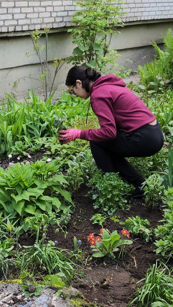 вертикалки, пушкино, цветник, клумбы у домов, жители,высадка, двор,