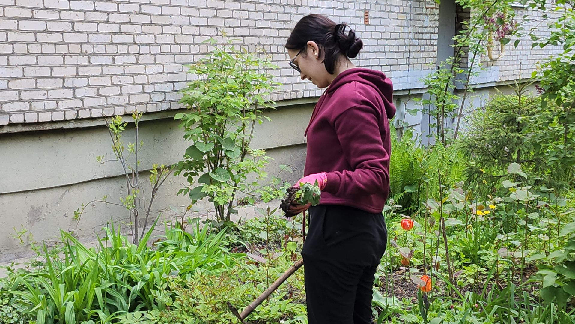 вертикалки, пушкино, цветник, клумбы у домов, жители,высадка, двор,