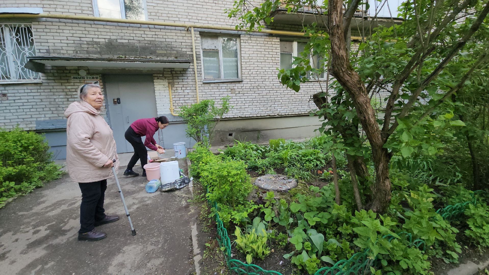 вертикалки, пушкино, цветник, клумбы у домов, жители,высадка, двор,