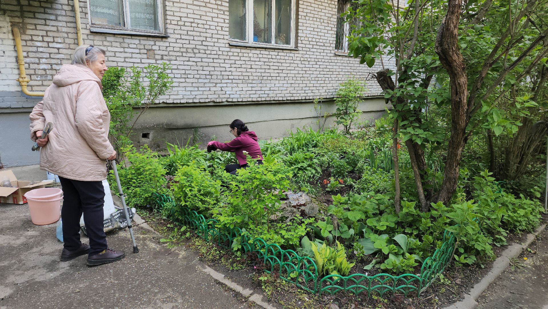 вертикалки, пушкино, цветник, клумбы у домов, жители,высадка, двор,