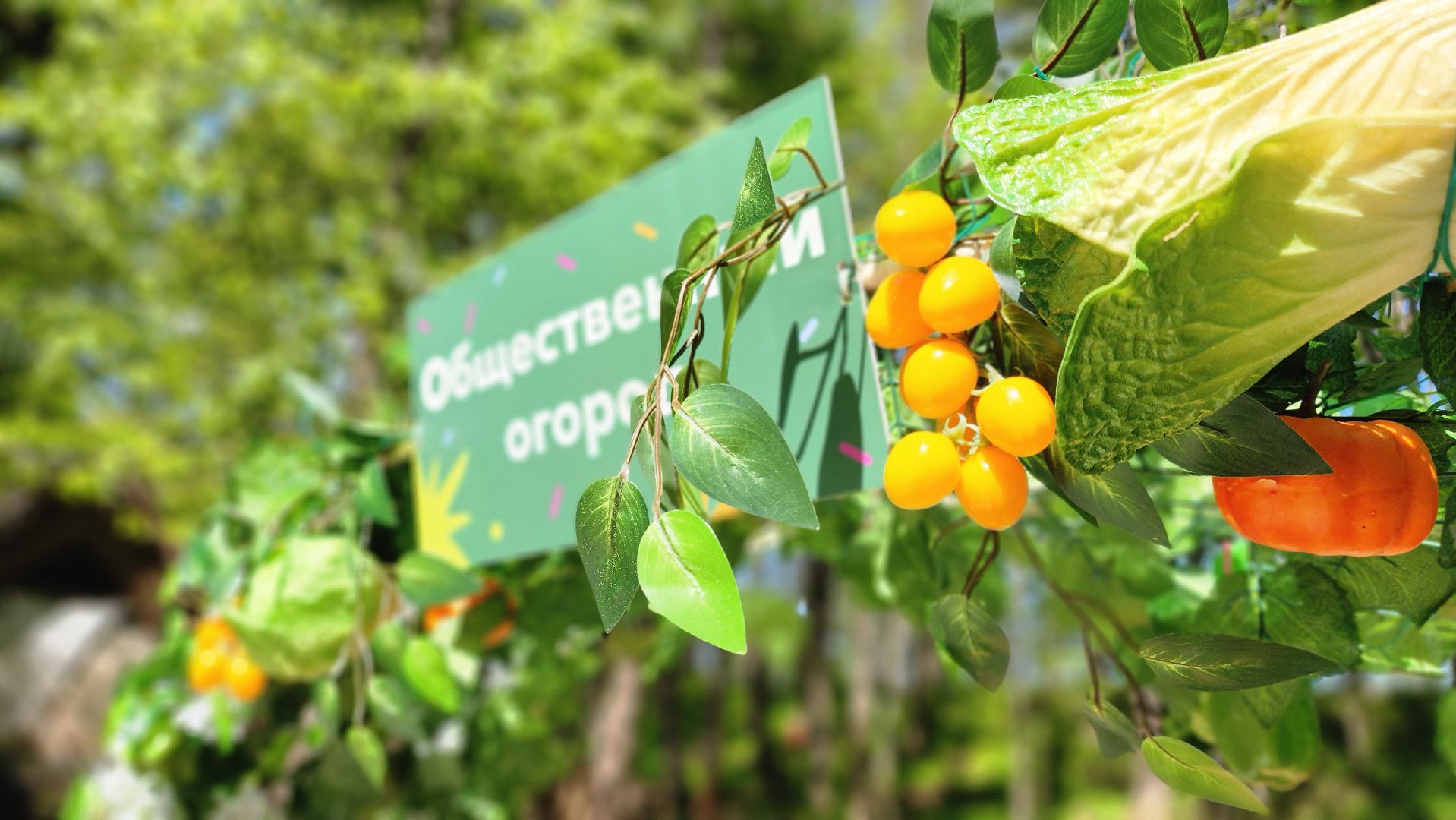 Руза, Парк городок , общественный огород, Парки Подмосковья ,