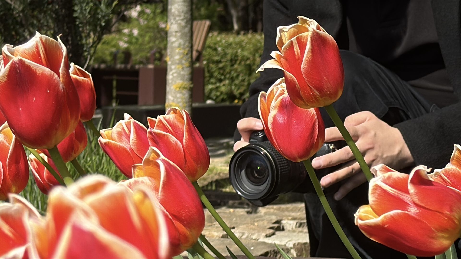 Фотолокация, одинцовский парк культуры спорта и отдыха, Фотозоны, Одинцово,