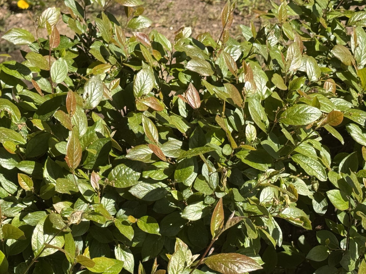 Фотолокация, одинцовский парк культуры спорта и отдыха, Фотозоны, Одинцово,