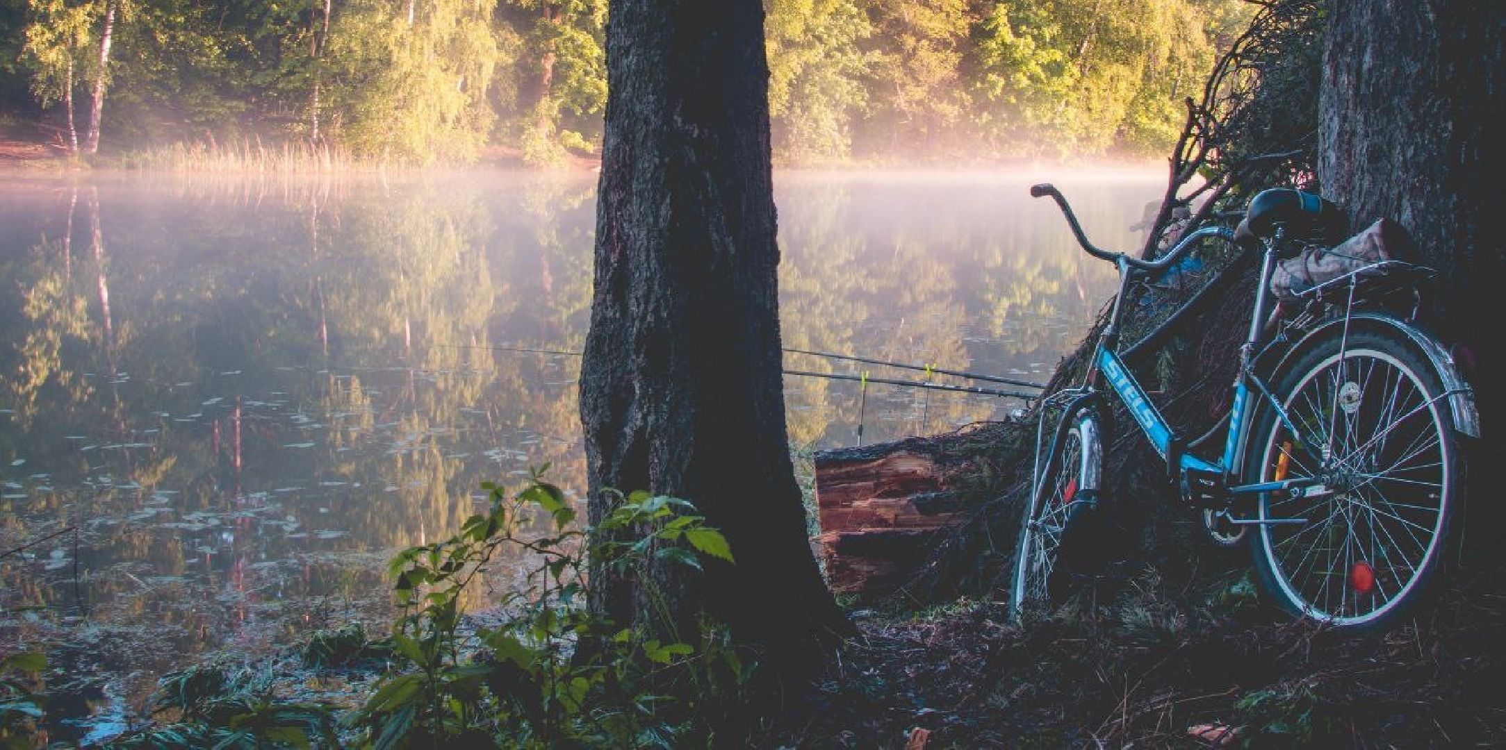 Фотолокация, одинцовский парк культуры спорта и отдыха, Фотозоны, Одинцово,