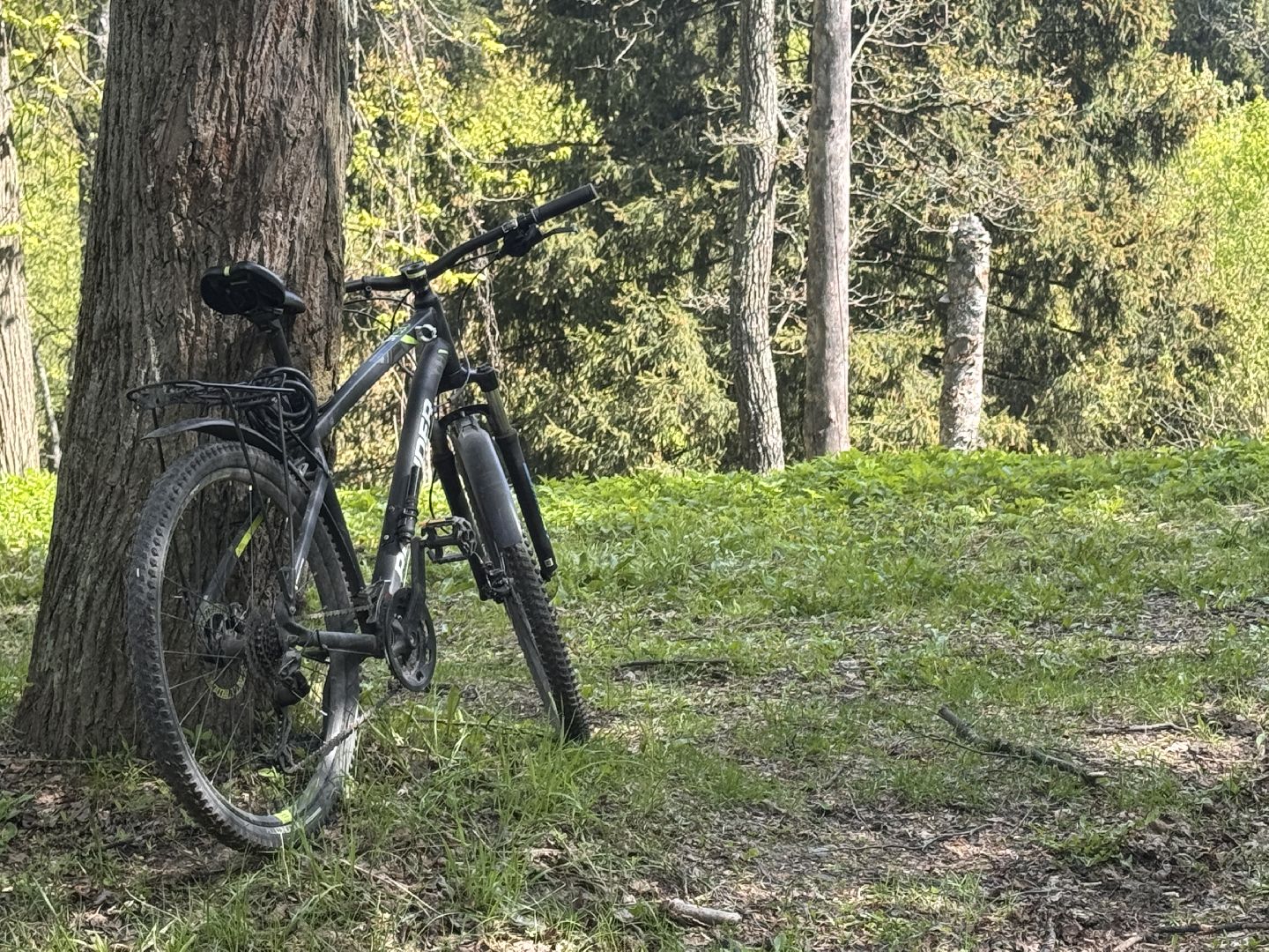 Фотолокация, одинцовский парк культуры спорта и отдыха, Фотозоны, Одинцово,