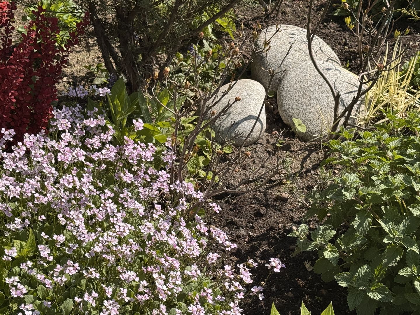 Фотолокация, одинцовский парк культуры спорта и отдыха, Фотозоны, Одинцово,