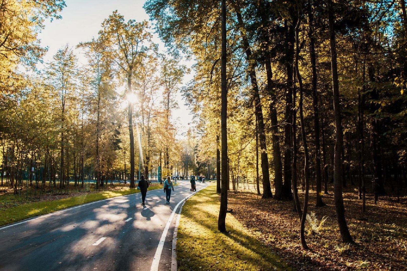Фотолокация, одинцовский парк культуры спорта и отдыха, Фотозоны, Одинцово,