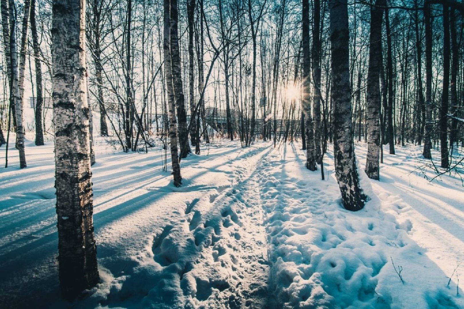 Фотолокация, одинцовский парк культуры спорта и отдыха, Фотозоны, Одинцово,