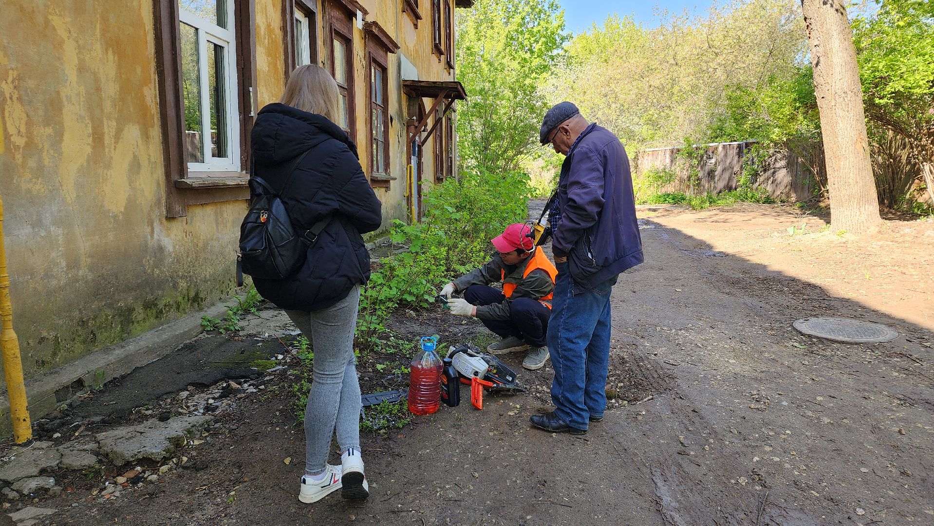 пушкино, удаление деревьев, удаление сухостоя, аварийные деревья, жители, коммунальная служба, вертикалки,
